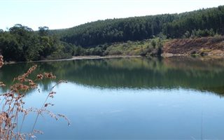 112 ha Farm in Greytown