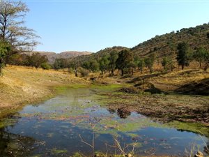 Game Farm in Modimole (Nylstroom)