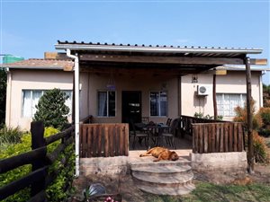 6 ha Farm in Greytown