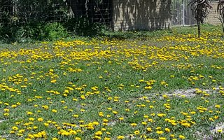 1193 m² Land available in Colchester