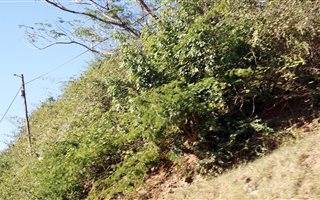 998 m² Land available in Reservoir Hills