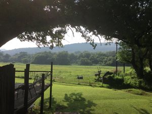 10 ha Farm in Koster