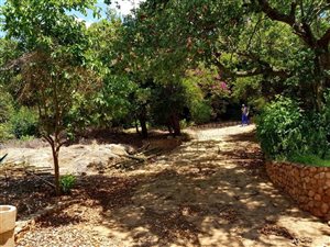 803 m² Land available in Florauna