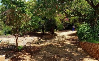 803 m² Land available in Florauna