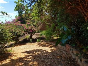 803 m² Land available in Florauna