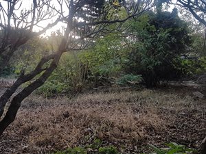 1276 m² Land available in Pretoria North