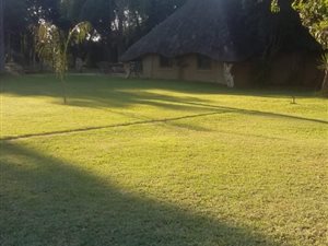 1.7 ha Farm in Bela-Bela (Warmbaths)