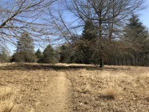 2.3 ha Land available in Rosetta