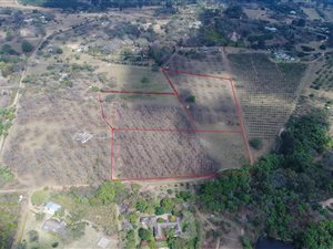 2.3 ha Land available in White River AH