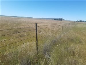 2171 m² Farm in Smithfield