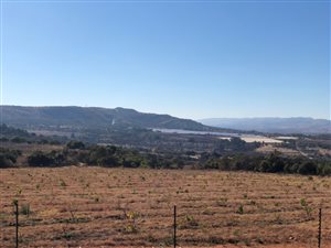 39.4 ha Farm in Kromrivier