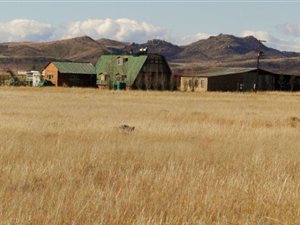 97.8 ha Farm in Zastron