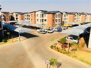 2 Bed Apartment in Ravenswood