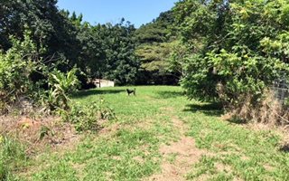 Commercial space in Ballito