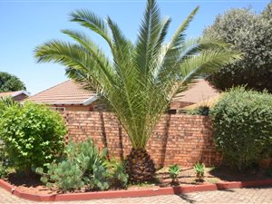 3 Bed Townhouse in Whiteridge