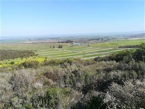 678 ha Farm in Northern Paarl
