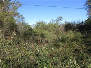 1.4 ha Land available in Bathurst and Surrounds