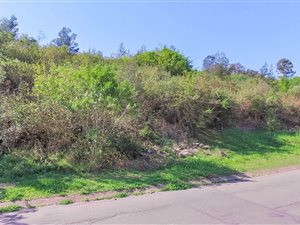 26 ha Land available in Northdale