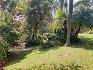 4.6 ha Farm in Derdepoort