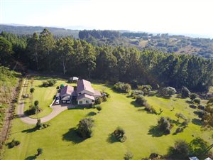 8.8 ha Farm in Haenertsburg