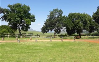 1200 m² Land available in Dullstroom