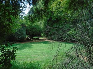1000 m² Land available in Birdhaven