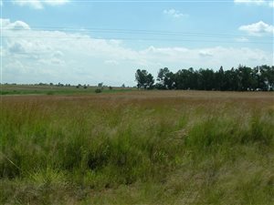 8.6 ha Smallholding in Helderstrome AH