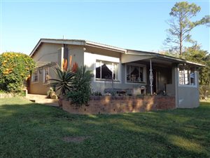 3 Bed House in Camperdown