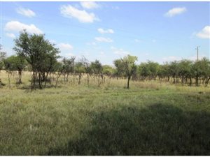 13 ha Farm in Hartbeespoort Dam