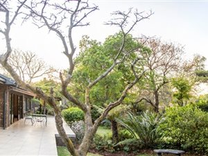 4 Bed House in Meyerspark