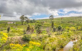 22 ha Farm in Seaview