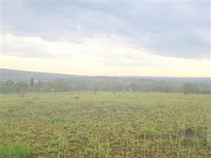 7.2 ha Land available in Magaliesburg