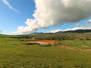 26 ha Farm in Tesselaarsdal