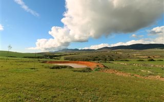 26 ha Farm in Tesselaarsdal