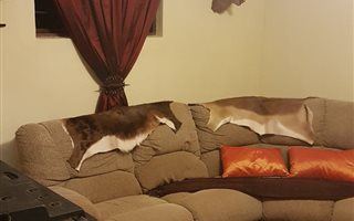 2 Bedroom Flat in Amanzimtoti