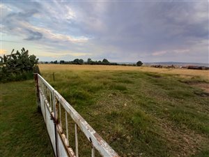 2 ha Farm in Heidelberg AH