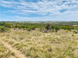 4053 m² Land available in Grahamstown Central