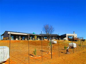 83 ha Farm in Dullstroom