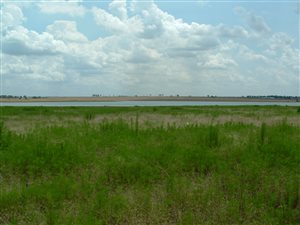 6 ha Smallholding in Deneysville
