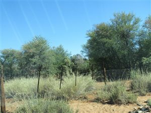 2963 ha Farm in Kenhardt