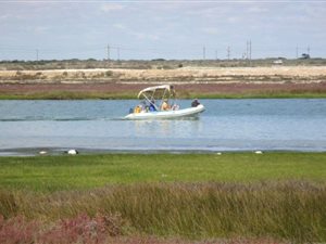 422 m² Land available in Port Owen