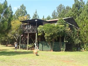 2 ha Land available in Bashewa