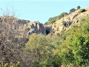 22.4 ha Farm in Donkerhoek