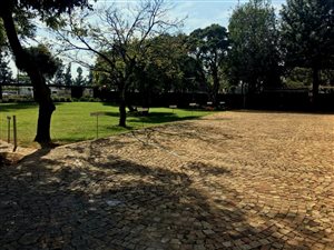 253 m² Commercial space in Bedfordview