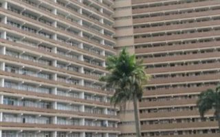 Bachelor apartment in Pinetown Central