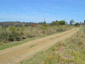 3079 m² Land available in Summerpride