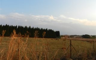 1 ha Land available in Grootfontein Estate