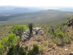 802 ha Farm in Stutterheim