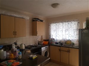 2 Bed Apartment in Tileba