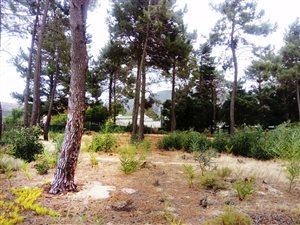 595 m² Land available in Bot River